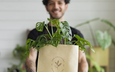 Livraison plantes à domicile : comment s’y prendre et quels sont les meilleurs services de livraison